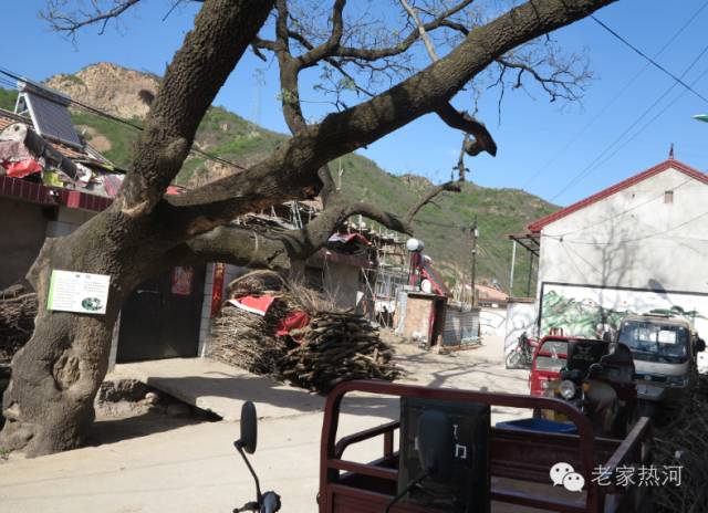 鞍匠黑沟门，美的不成样子