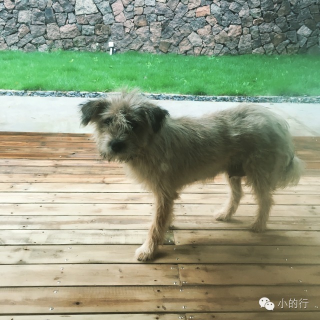 莫干山怎样找民宿,夏天莫干山性价比民宿推荐