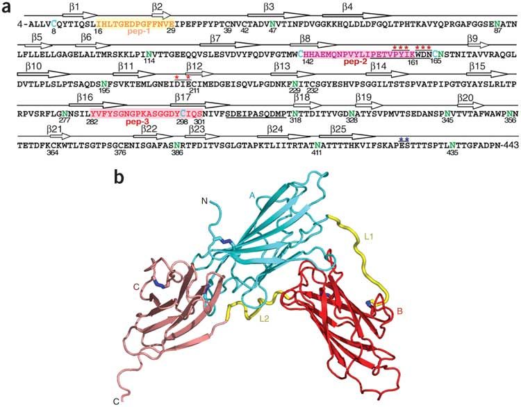 鼻咽癌的病因护理评估和护理措施,健康科普喉癌的种类有哪些