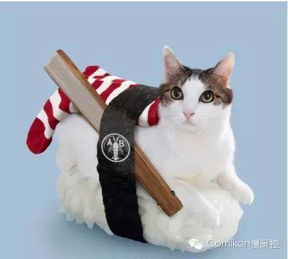 可爱猫咪戴着发箍,可爱的猫咪发箍