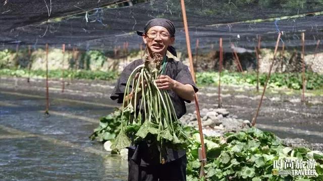 芥末山葵辣根到底是什么关系 (山葵和芥末和辣根是同一个东西嘛)