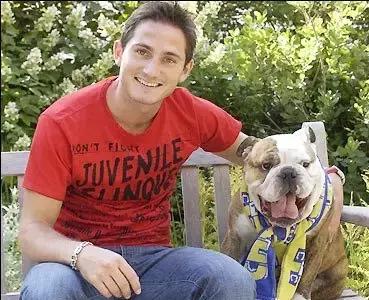 梅西狗狗,c罗和梅西家的顶级恶犬