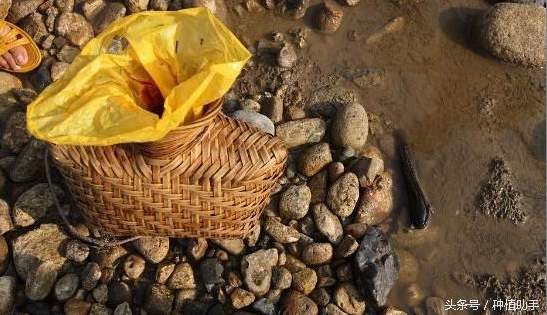 小时候捉鱼的正确方法,在农村捉鱼