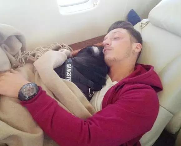 梅西狗狗,c罗和梅西家的顶级恶犬