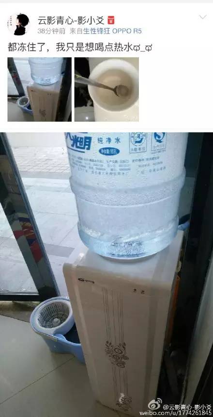 乌龟还能救过来吗,奄奄一息的小乌龟还有救吗