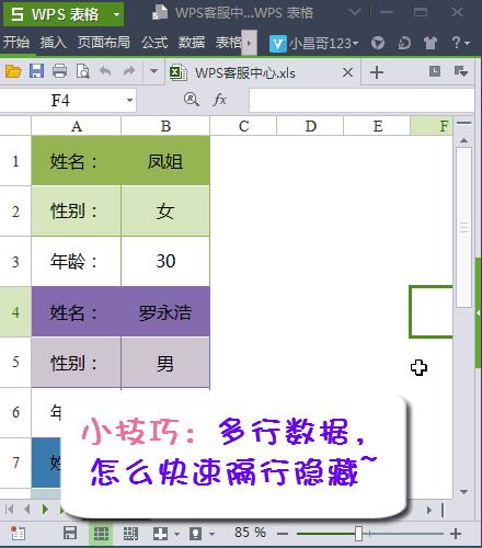 苹果电脑wps使用技巧大全入门级,wpsexcel办公技巧零基础