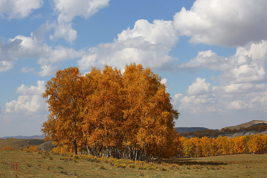 坝上草原雪景航拍,坝上草原秋景美图