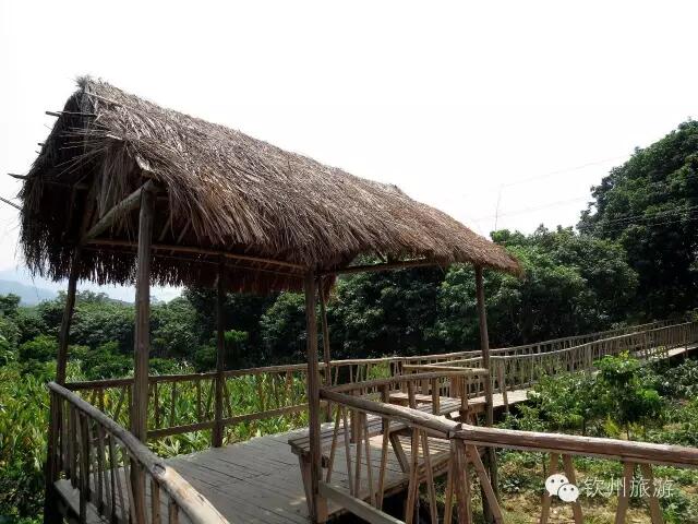 钦州周末出游攻略,钦州乡村旅游攻略