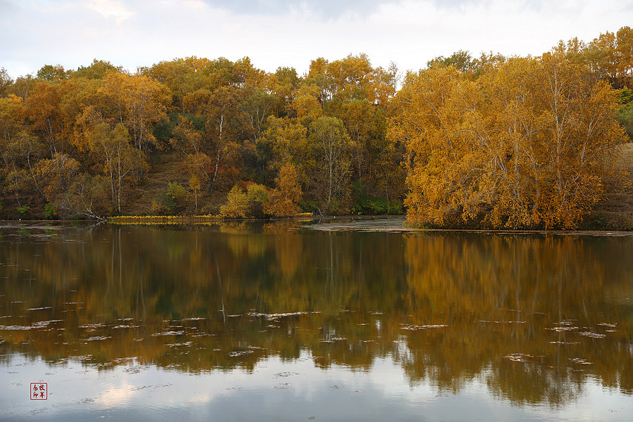 坝上草原雪景航拍,坝上草原秋景美图