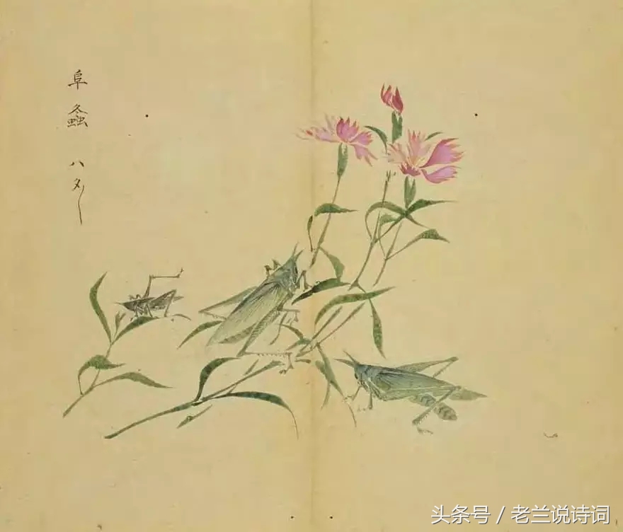 关于秋虫的古诗词,古诗词中含有秋的诗句有哪些