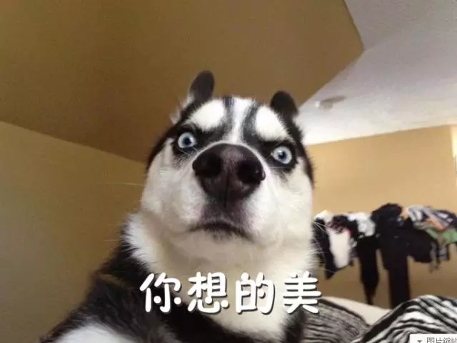 聚焦|还真有抢红包“神器”！这个小伙用过了，结果......