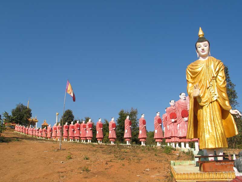 缅甸野人山砍树,村民在原始次生林发现仙草