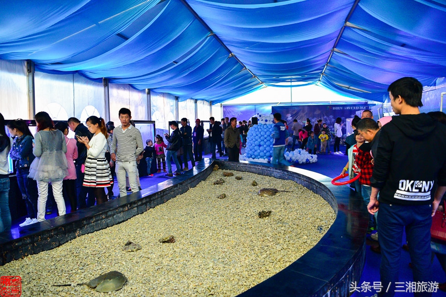 株洲漂流门票,株洲周边免门票游玩