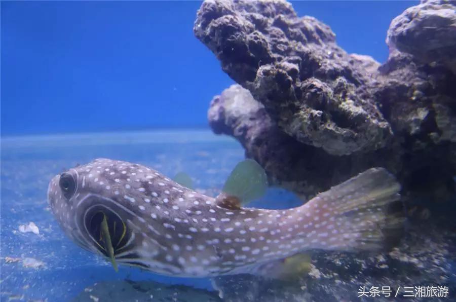 株洲漂流门票,株洲周边免门票游玩