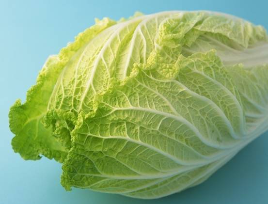 24种健康养生的食物,十种营养养生食物身体保健必备