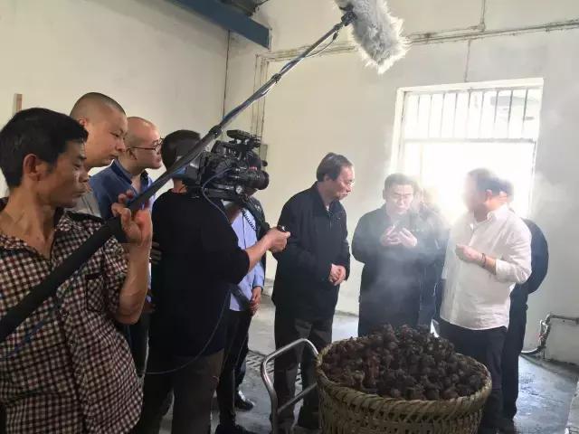 摄制组动态|卢火神附子炮制老官山墓