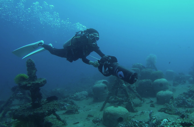 菲律宾潜水游记 (回忆菲律宾潜水的时光)