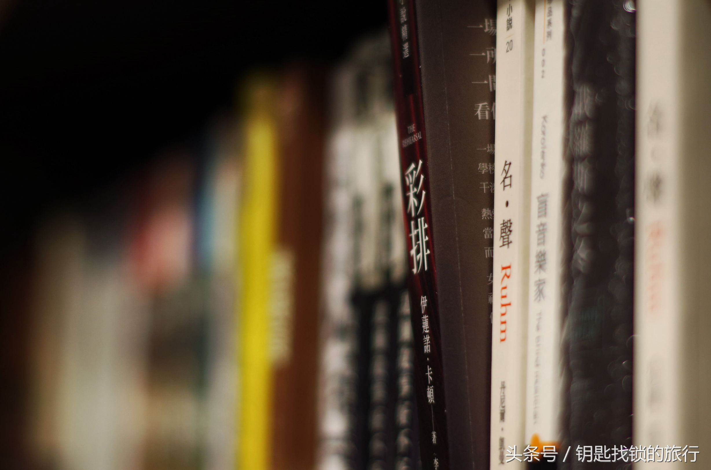 来苏州不去拙政园可以去哪里,去苏州不去景点可以到什么地方耍