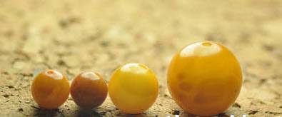 造假蜜蜡的骗局看完一秒揭穿,蜜蜡造假到底有多可怕