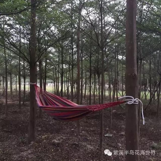 重阳节与老人互动,重阳节和老人互动