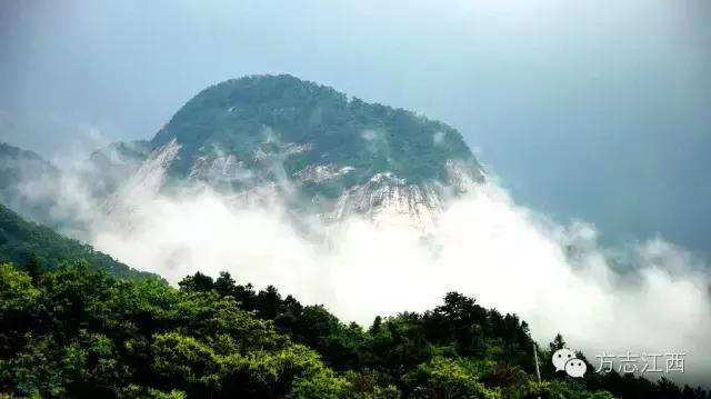 虽无黄金，遍地是金——寻访江西金溪县