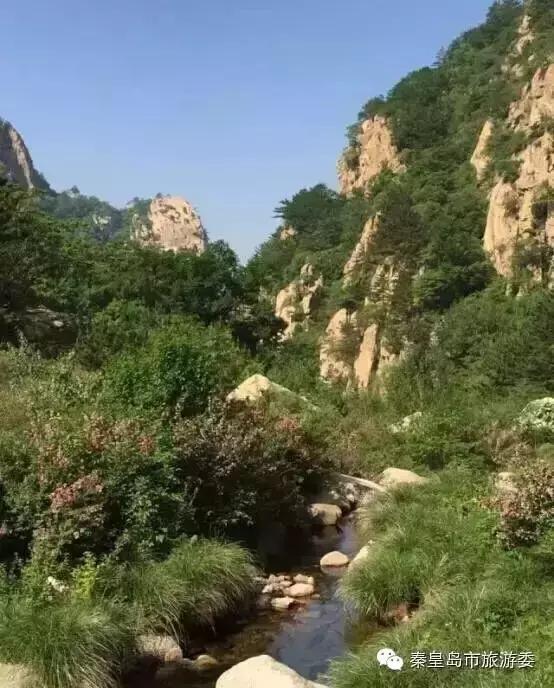 秦皇岛的秋景,河北秦皇岛风景秋季