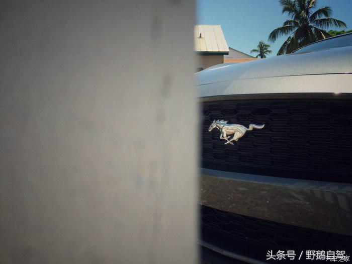 野鹅旅行,野鹅自驾无人区