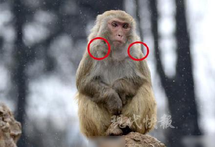 今天还是一如既往的冷！每日轻松一刻1月24日周日版