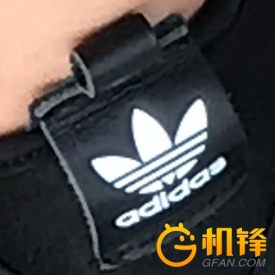 质的飞跃是啥,质的飞跃免费观看