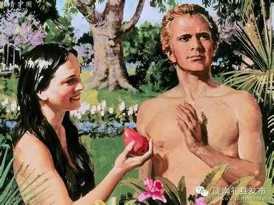 世界四个苹果,世界上有四种苹果