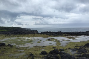 身心的放逐---毛里求斯