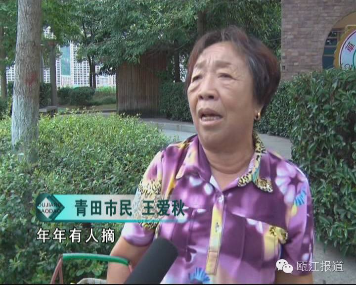 银杏药片对高血压有效吗,银杏叶制剂对高血压的作用