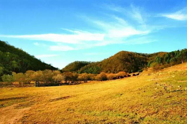 金秋国庆假期旅游,国庆假期宝鸡游玩攻略