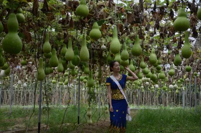 葫芦丝非遗传承人哏德全,葫芦丝大师哏德全故居