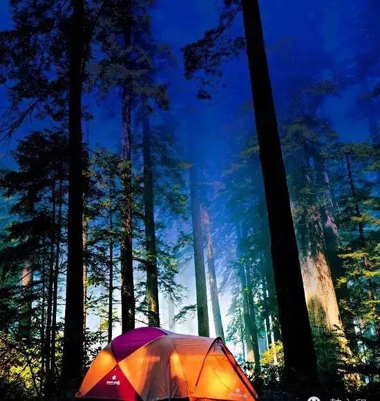 十一最热门出游地,十一最适合旅游的地方