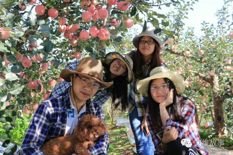 艾维wwoofer之：希望的曙光，为你为我