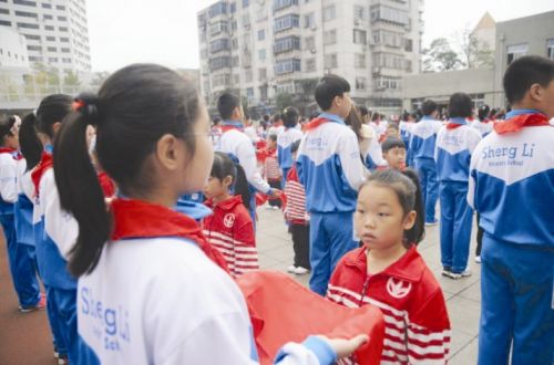 少年先锋队入队宣誓词仪式感,中国少年先锋队入队队前教育