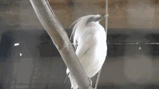 朋友圈发海边泳衣照好不好,朋友圈晒沙滩泳装