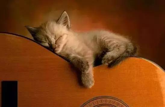 乌鲁木齐好吃的美食甜品,乌鲁木齐好吃的美食推荐甜品