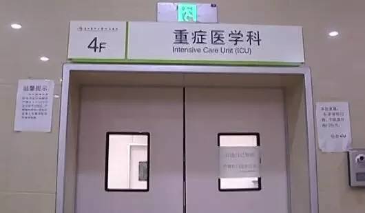 7岁小孩被虫蛰,浙江小朋友被虫子蛰