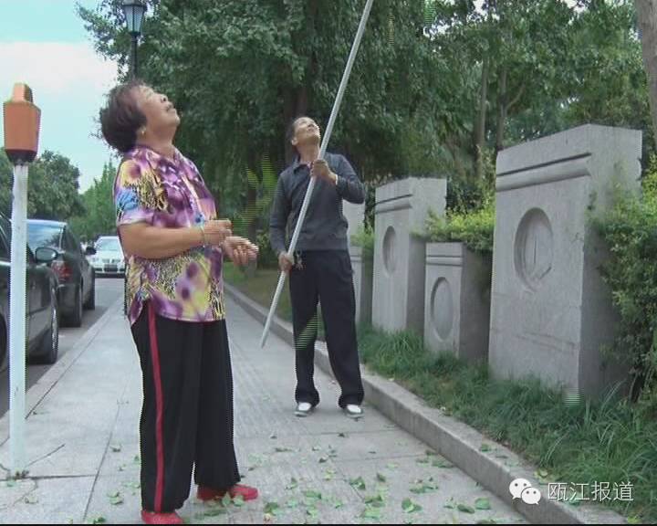 银杏药片对高血压有效吗,银杏叶制剂对高血压的作用