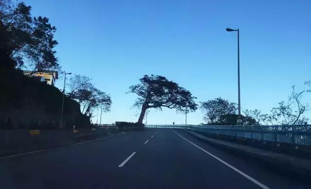 台湾到西藏自驾游,台湾自由行全攻略租车