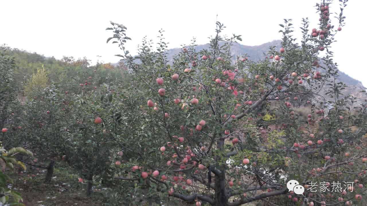 鞍匠黑沟门，美的不成样子