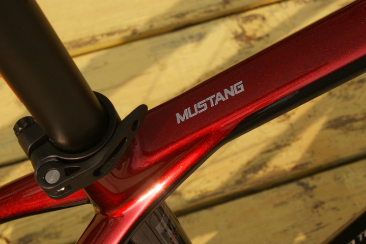 碳纤维4999,碳纤维车最便宜的车型