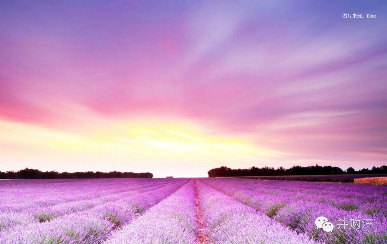 st舜船重整后的走势,舜船重整之后主业有哪些变化