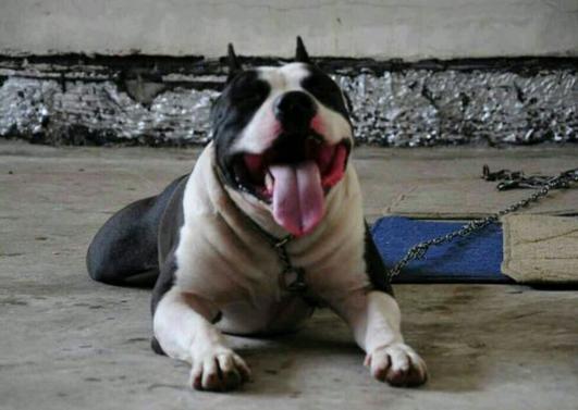 一生所爱sax,一生所爱斯台普斯