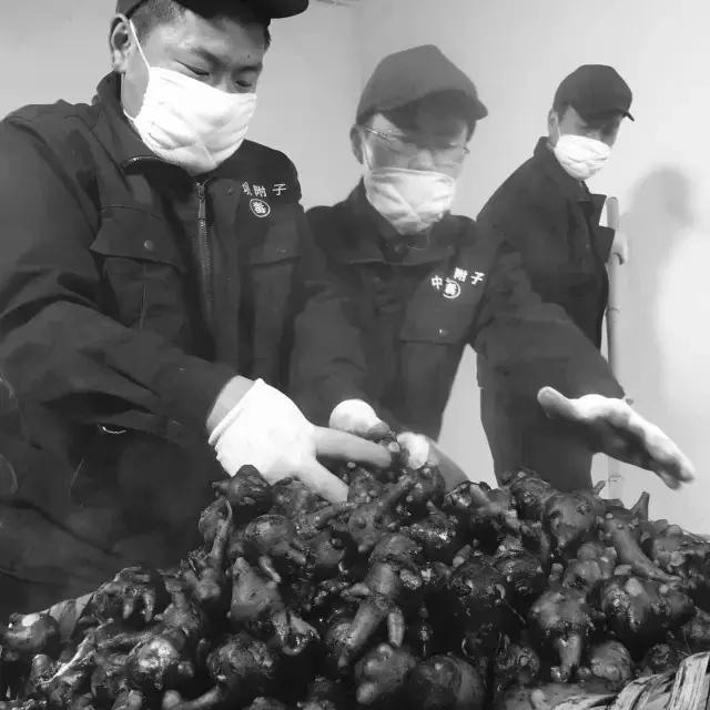 摄制组动态|卢火神附子炮制老官山墓