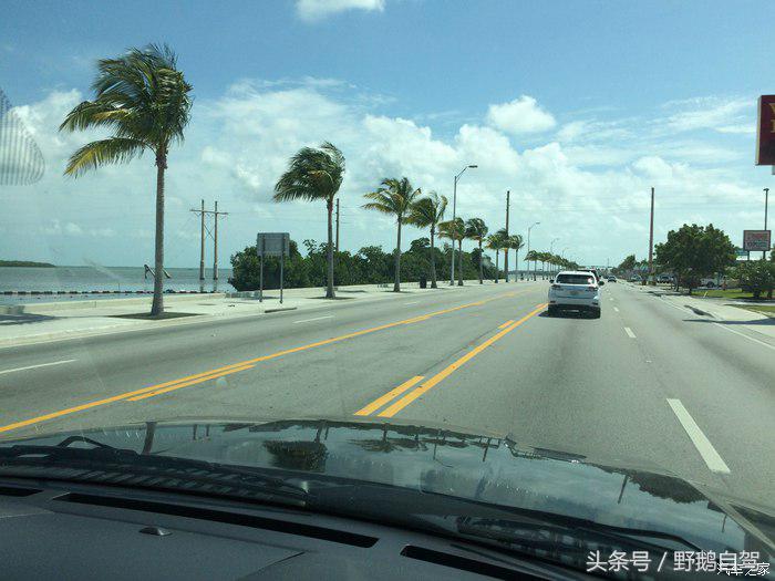 野鹅旅行,野鹅自驾无人区