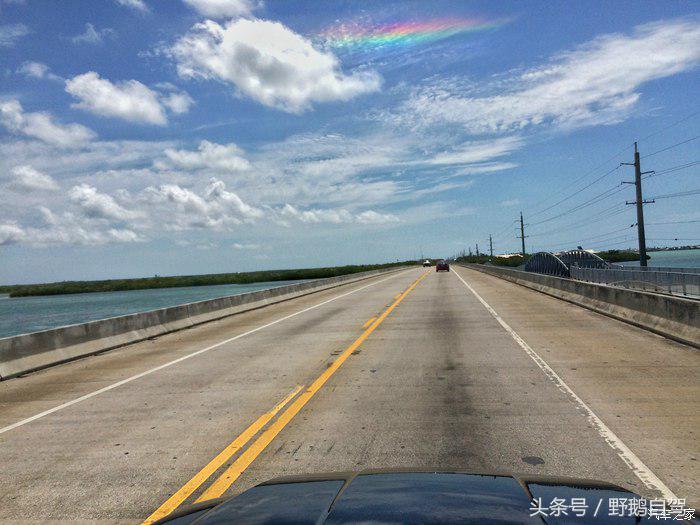 野鹅旅行,野鹅自驾无人区