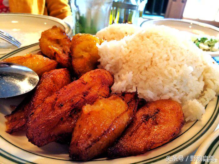 野鹅旅行,野鹅自驾无人区